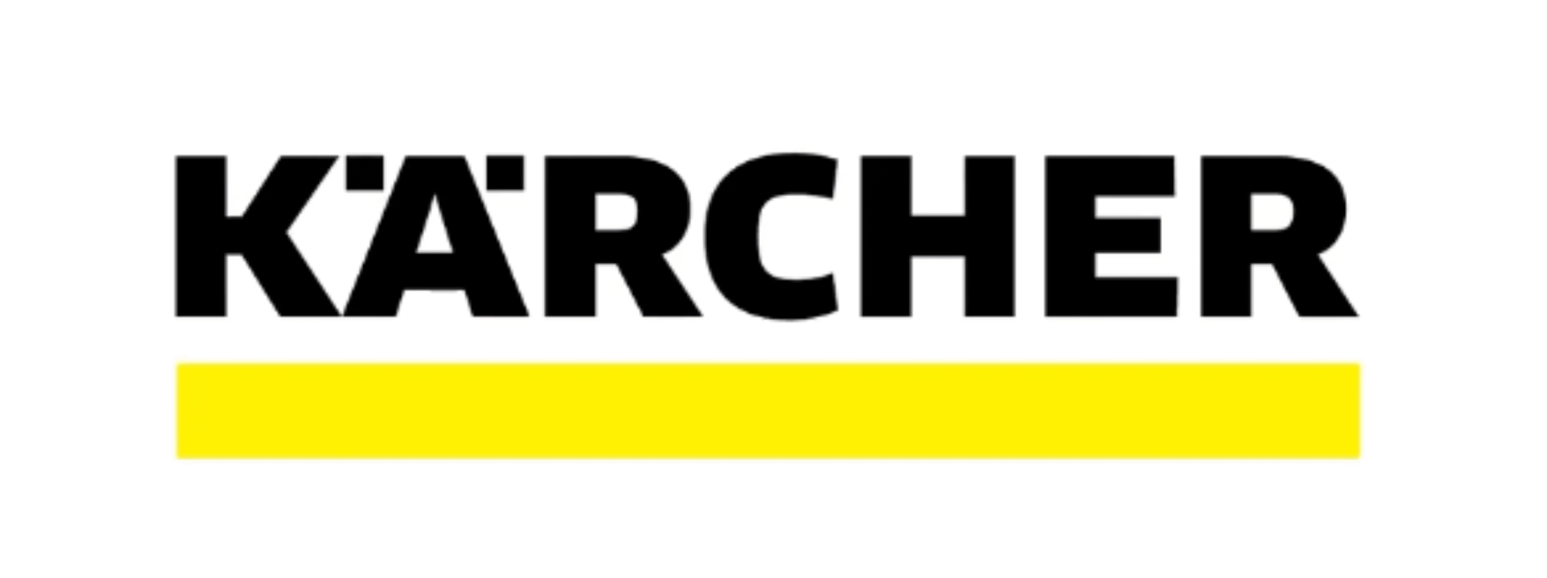 wss-logo
